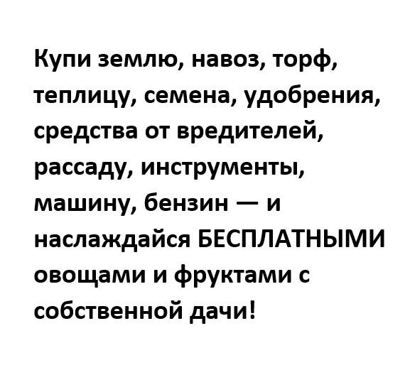 Огород на подоконнике: как вырастить овощи, зелень и даже клубнику у себя дома