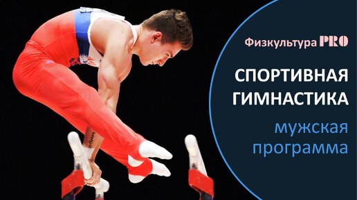 Спортивная гимнастика / Мужская программа соревнований / Упражнения / Снаряды /Sports gymnastics. Men's competition program