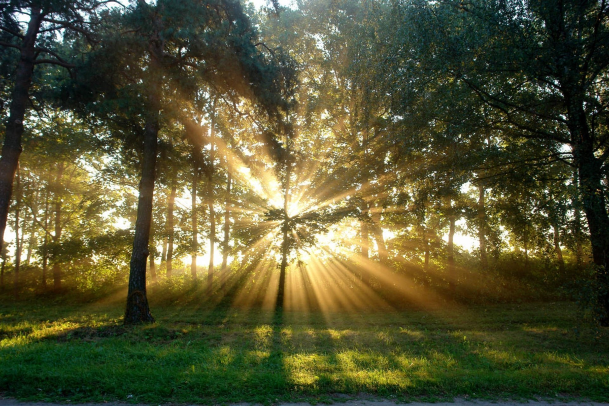 яндекс картинки