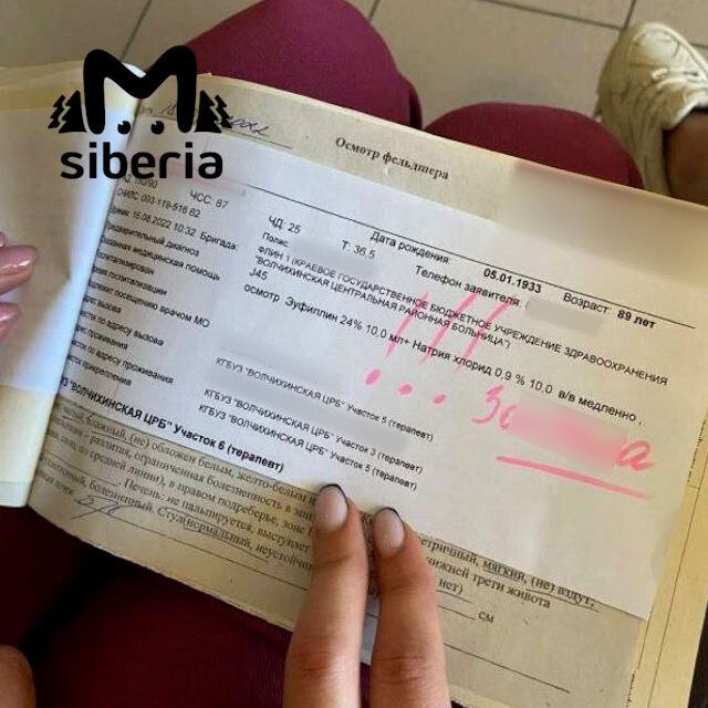 Фото: Mash Siberia