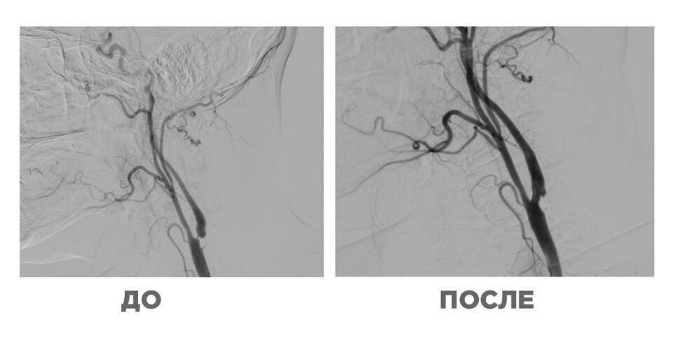     Фото: Пресс-служба Минздрава Московской области