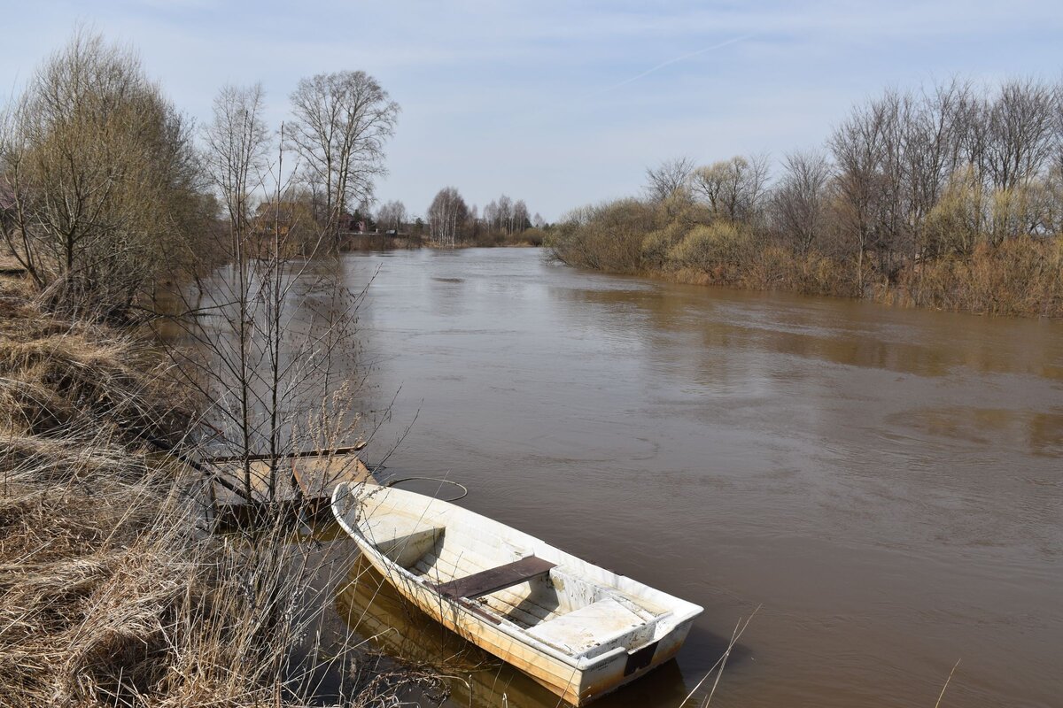 Фото с сайта: https://yarreg.ru/photos/lanscape/vesna_priroda_1.jpeg