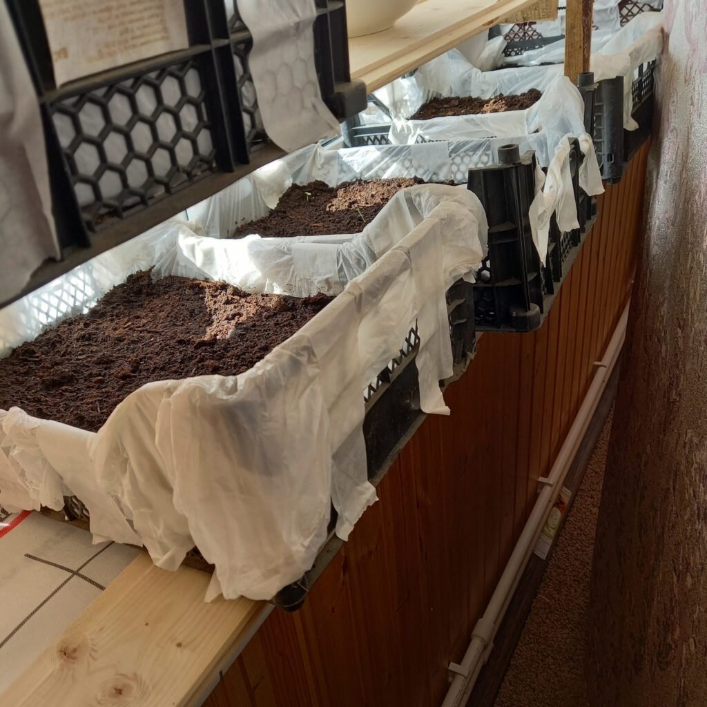 Почва и емкости