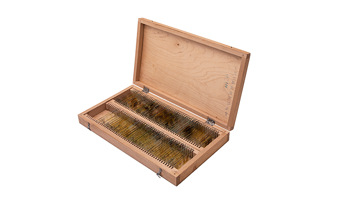    Гистологические препараты с протоколами и описями из цифровой коллекции Политехнического музея