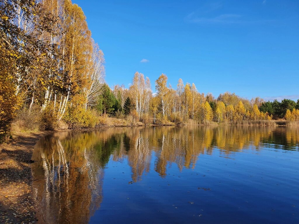 Природа тюмени фото коллажа ВЫБОР ЧИТАТЕЛЕЙ: ТОП-10 природных достопримечательностей Тюменской области! Наш 