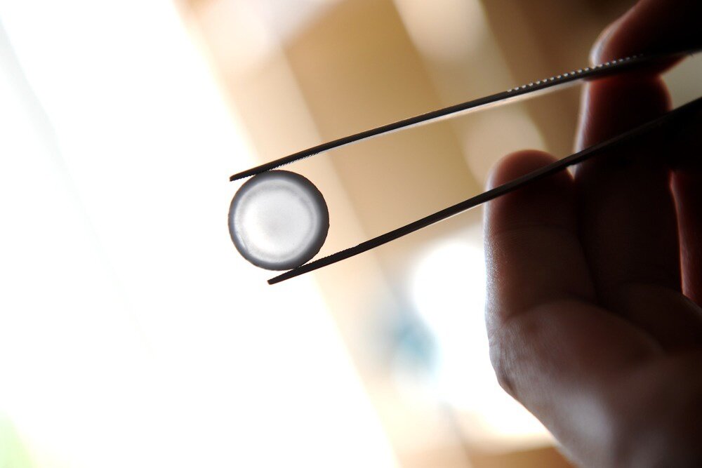 Источник: пресс-служба Уральского федерального университета