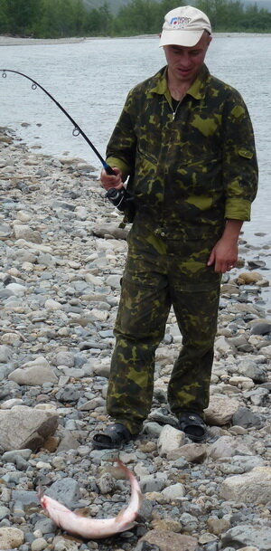 Коля Пислар чем то недоволен