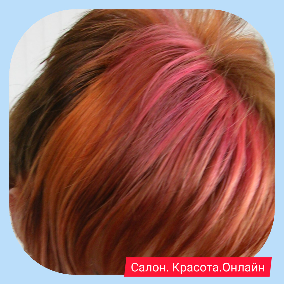 Страсти по цвету