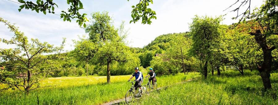                                    ПВелотуризм как способ узнать страну поближе