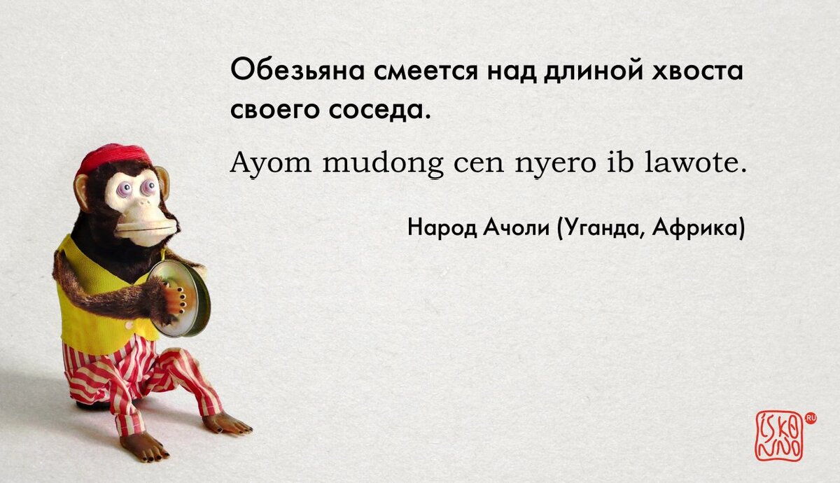 Пословица в виде картики
