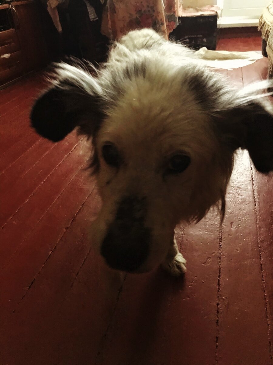 Кузя с утра