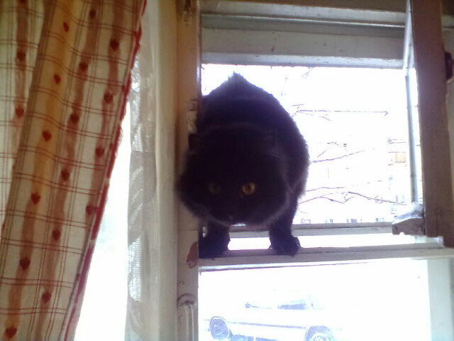 Ради меня даже не меняли на кухне окно на стеклопакет