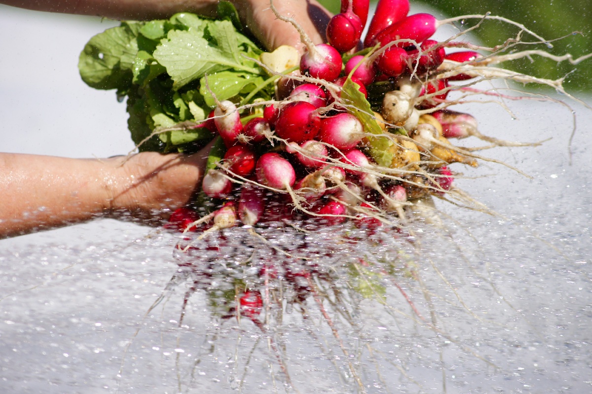 Когда вода из собственной питьевой скважины - можно мыть и вот так))