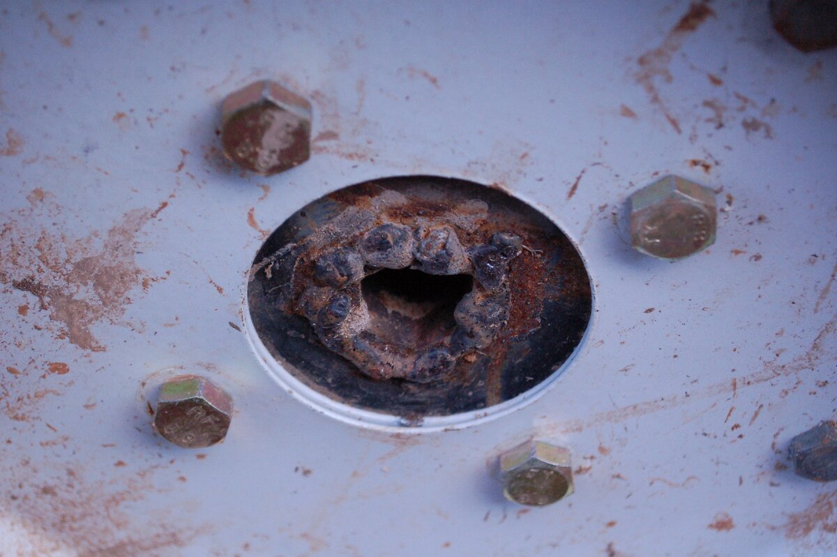 Сам переварил