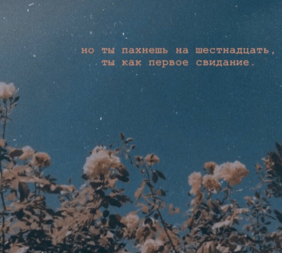 люблю