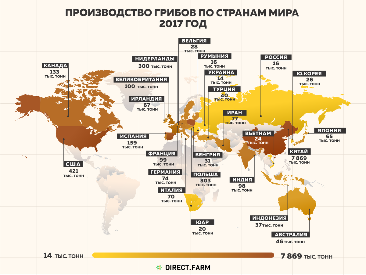 Главные мировые производители. Страны по производству. Производство грибов в мире. Крупнейшие производители грибов. Грибы по странам.