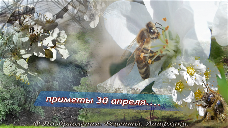 Все иллюстрации в статье созданы автором канала: Поздравления. Рецепты. Лайфхаки.