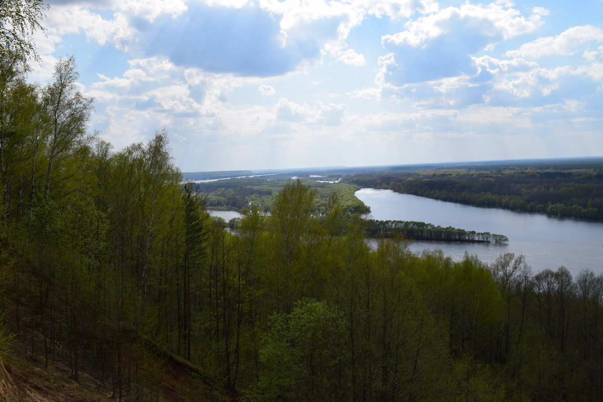 Г. Вагун. Весна на Оке. 2016 // fotokto.ru