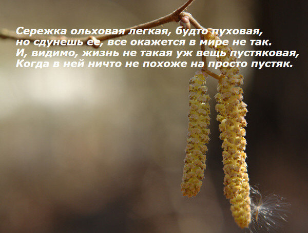 фото с интернета