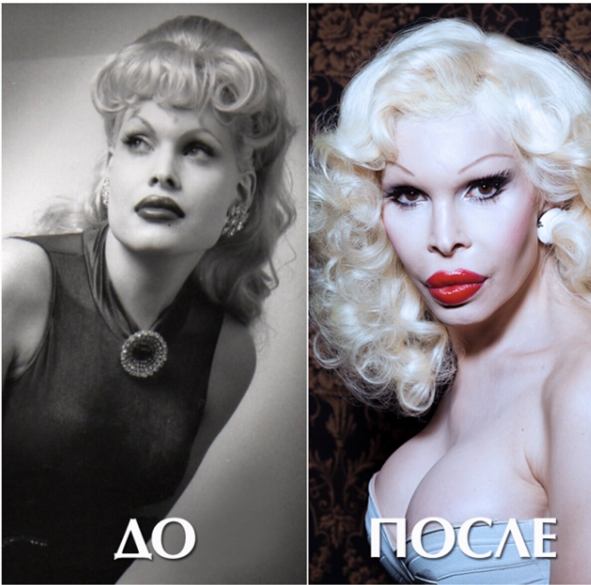 Лепор птица