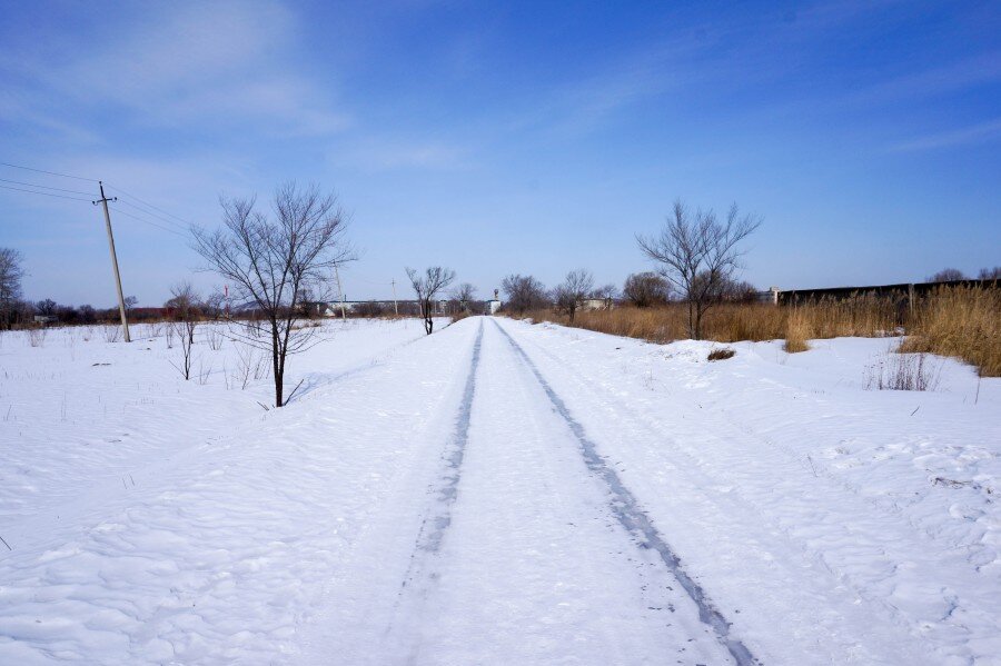 Погода в куте