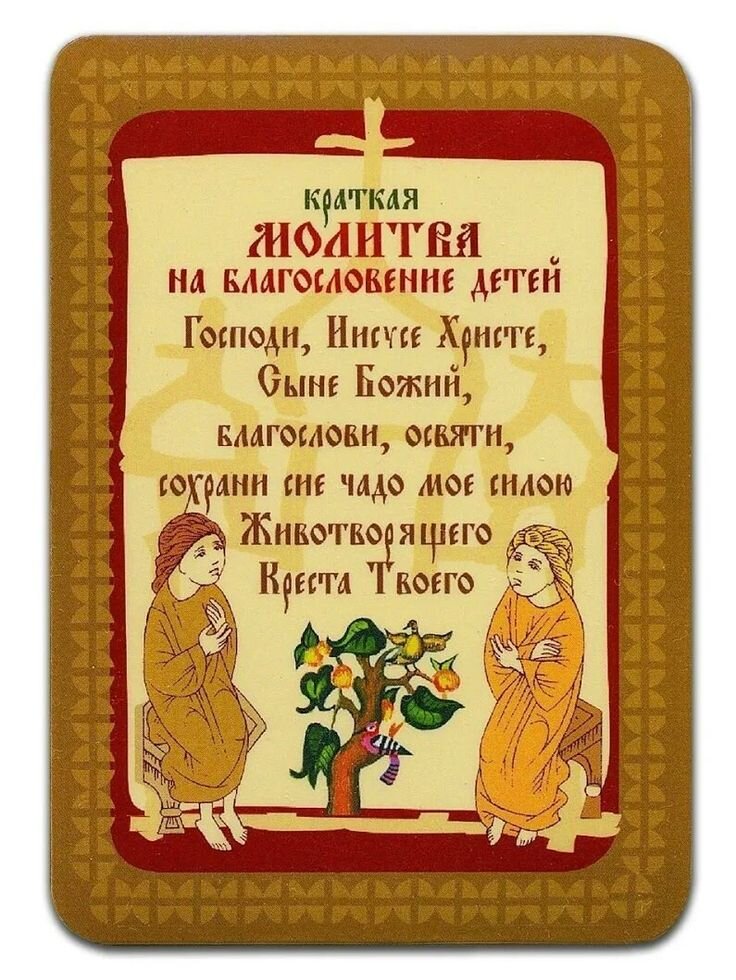 фото из сети