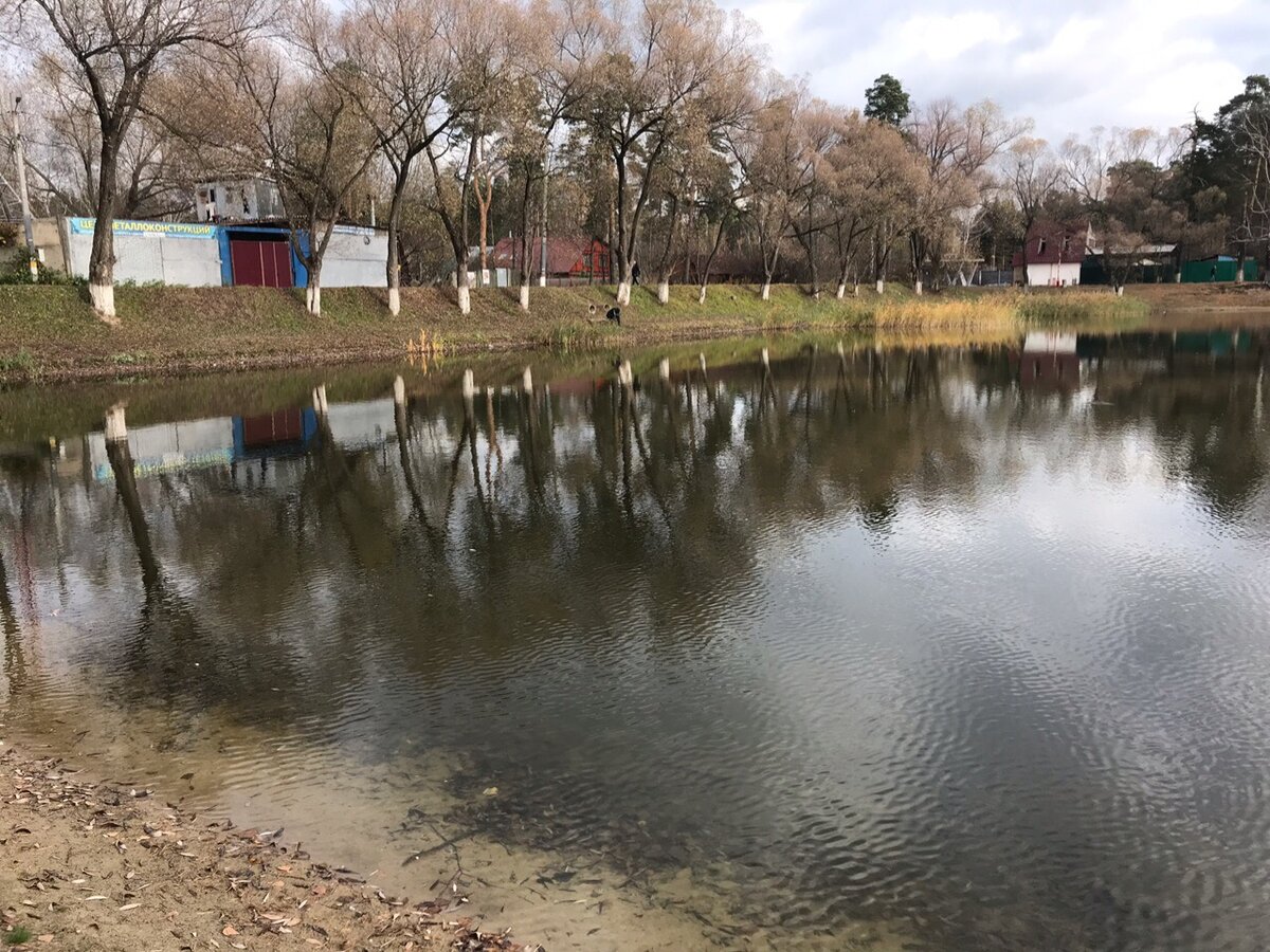 пруд