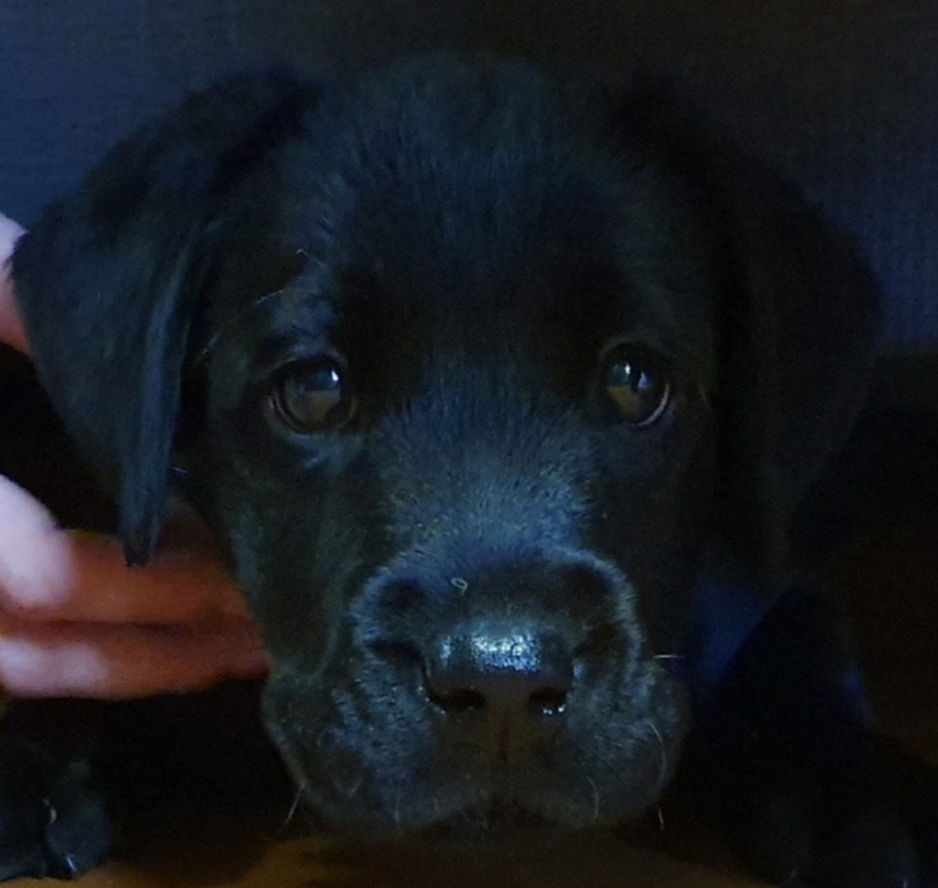 Правда, красотка?