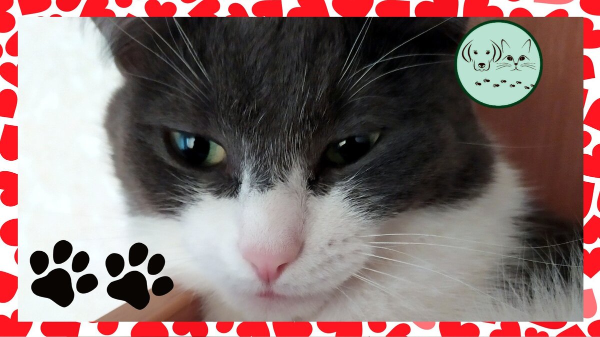 Ставьте лайки, подписывайтесь на канал