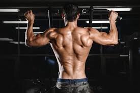 Сейчас я вам расскажу как накачать спину за неделю на туника. 