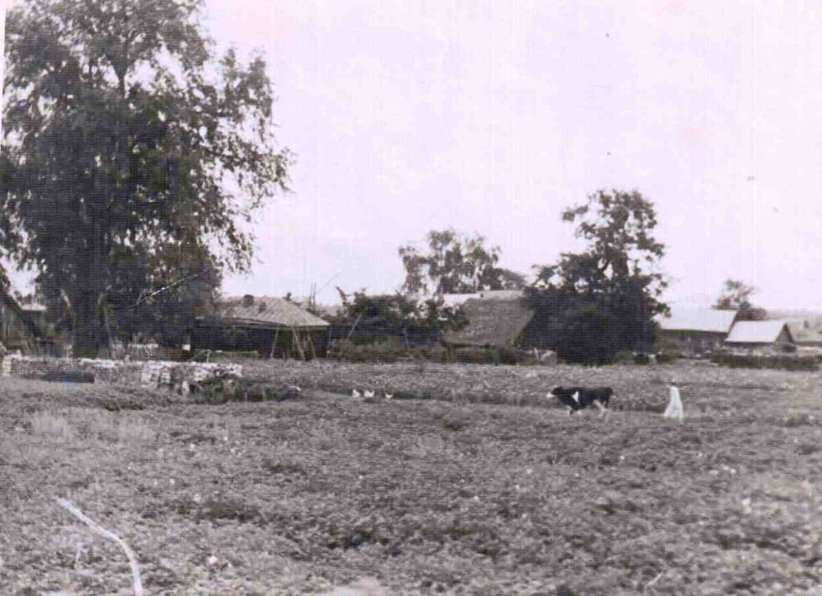 Деревня Киржач.