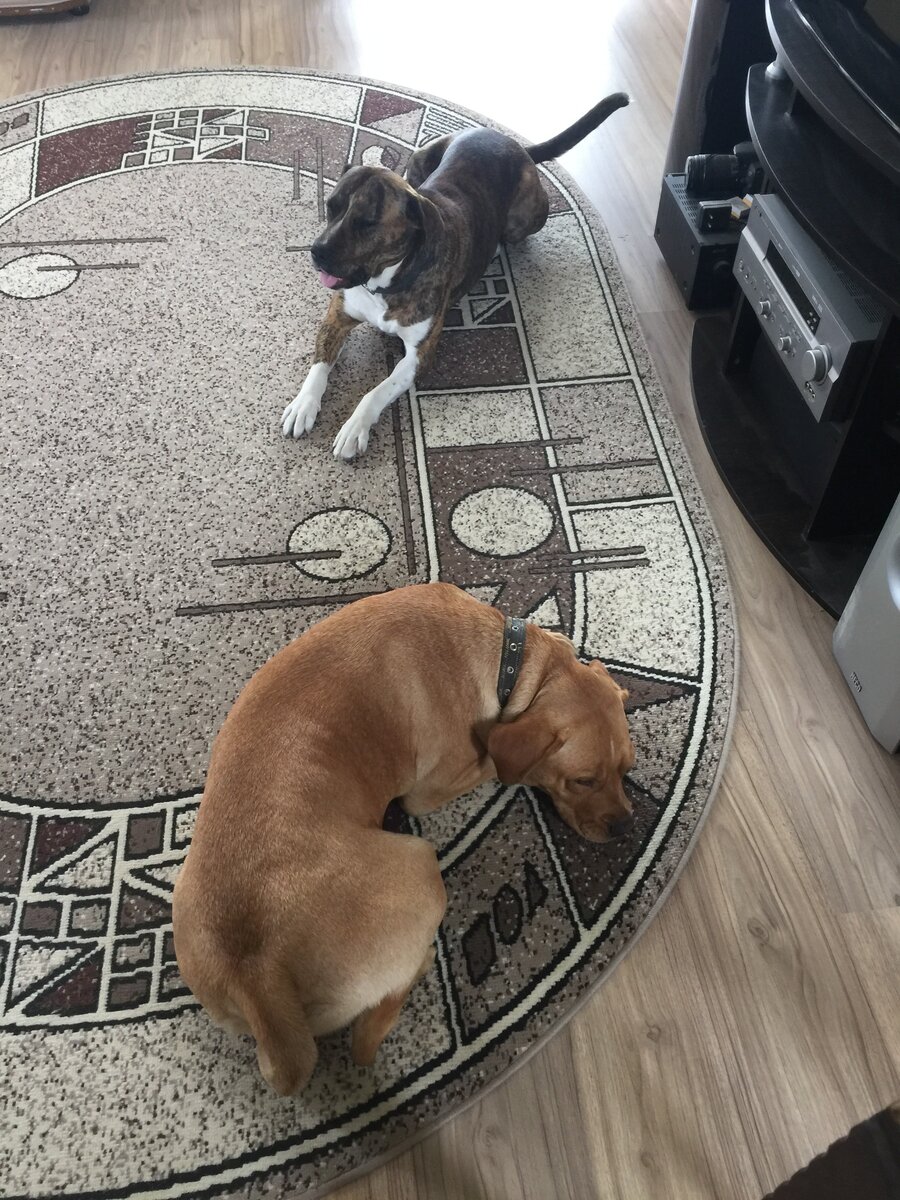 Фото из личного архива.