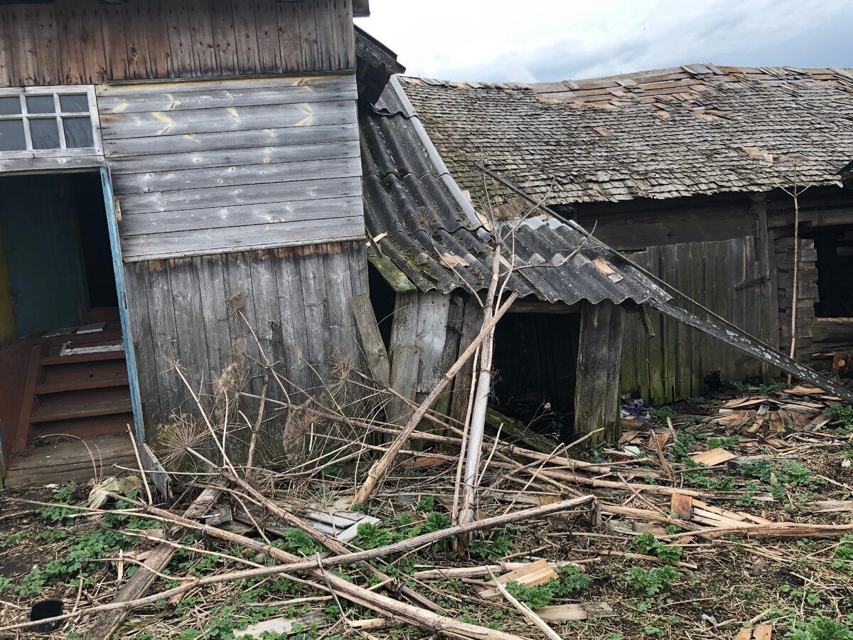 Заброшенный дом в глухой деревне. В доме сняты даже полы! Показываю дом  изнутри | Тверская - вот она какая | Дзен