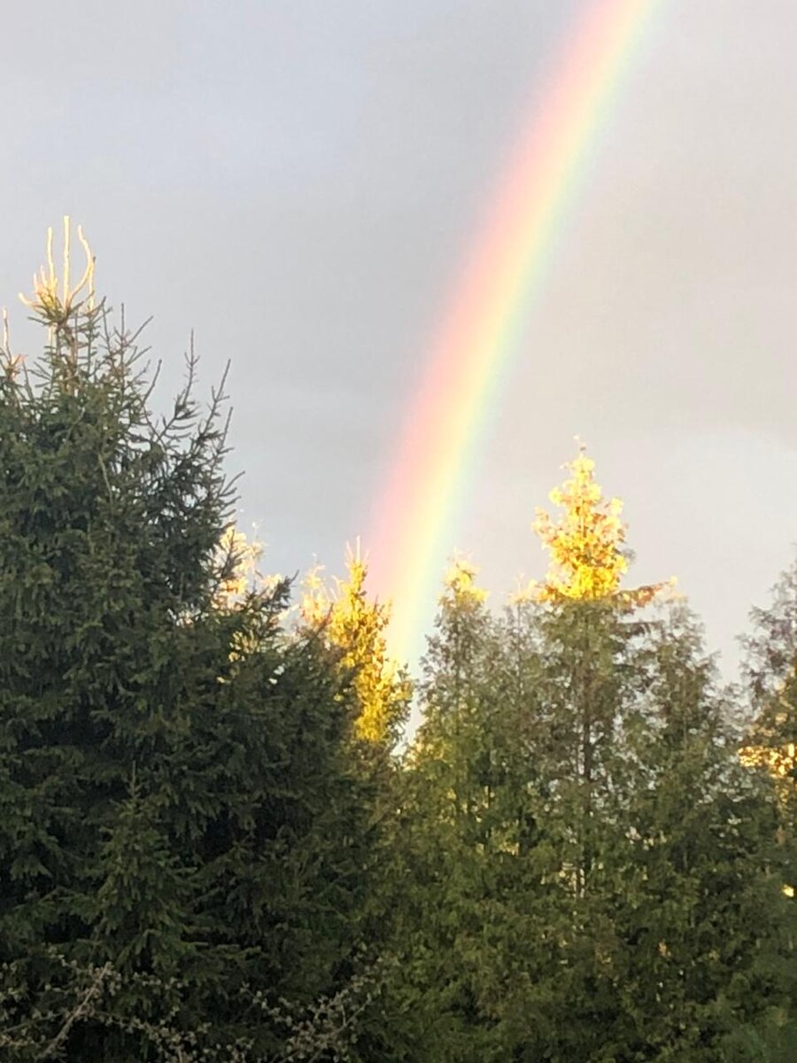 немного фотографий из дома от мамы