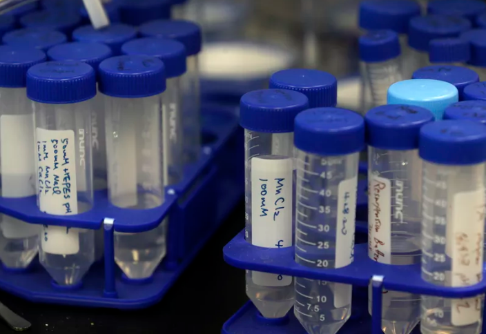 Создадут ли вакцину до октября 2020 года? Ответ зависит от того, найдутся ли добровольцы для тестирования экспериментальных препаратов на себе с возможным риском для здоровья.