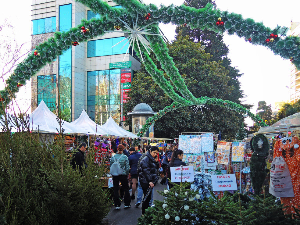 встретить новый год в адлере. новогодний сочи адлер. сочи главная елка 2022 адлер. сочи адлер новый год. новый адлер.