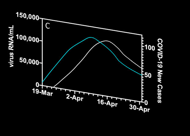Зависимость между концентрацией коронавирусной РНК в осадке сточных вод (голубая линия) и числом новых случаев COVID-19 в городе Нью-Хейвен (белая линия)
Jordan Peccia et al. / medRxiv, 2020