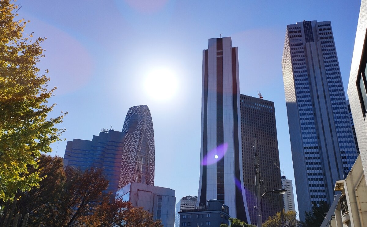 Токио, Синдзюку