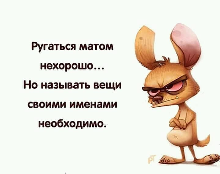 Прикольные картинки ругательства