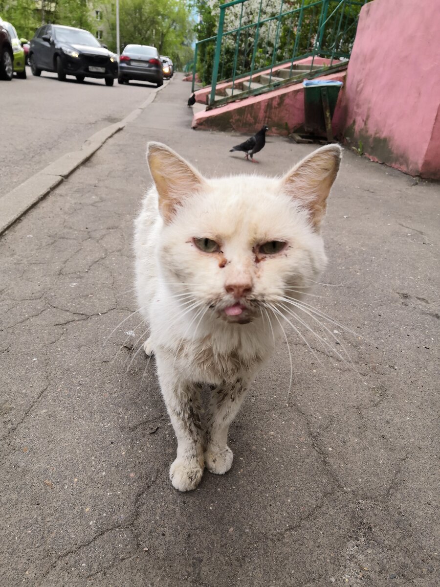 Таким я его увидела