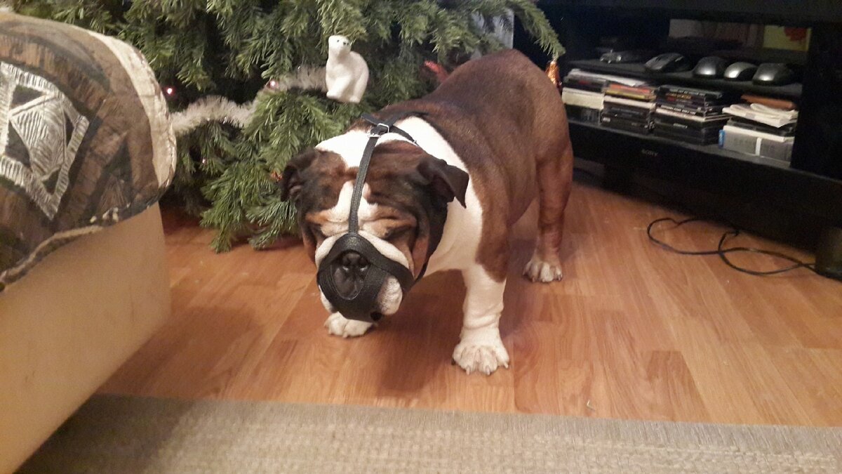 Наши  работы.