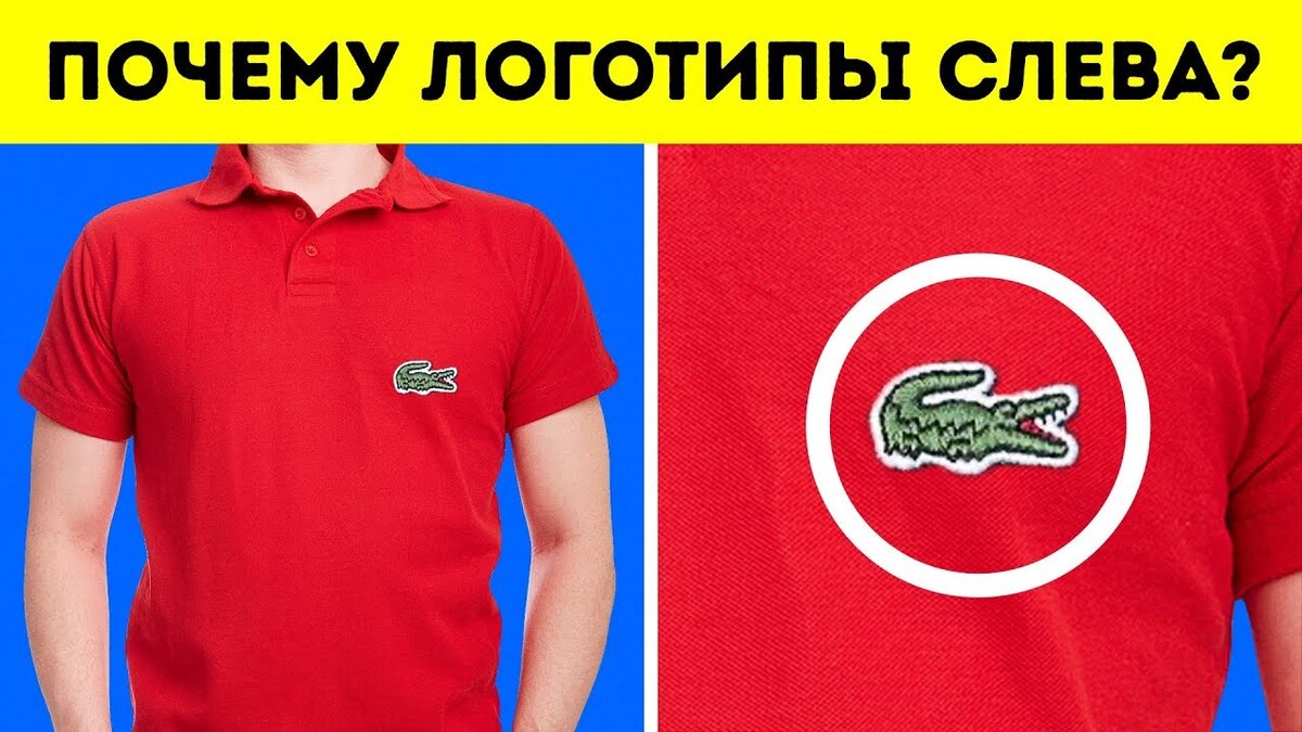 Привет друзья вы когда-нибудь задумывались почему в антарктиде нет собак? Или как улитки выживают зимой? Почему логотип на футболках всегда слева? Я  тоже нет,  но поверьте ответы на эти и другие странные вопросы очень логичны. 