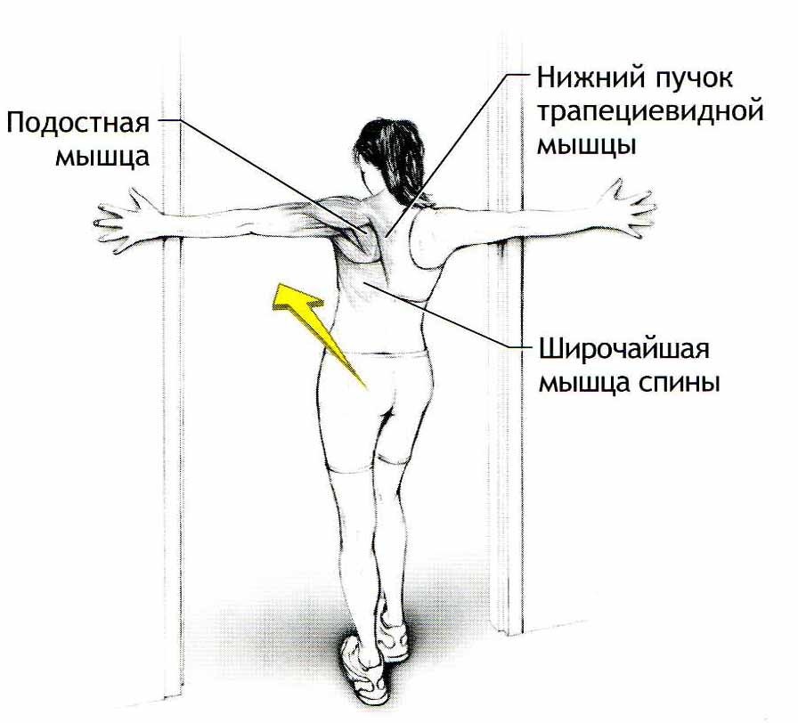 3 упражнения дома для укрепления и тренировки сердечно-сосудистой системы людей после 50 лет.