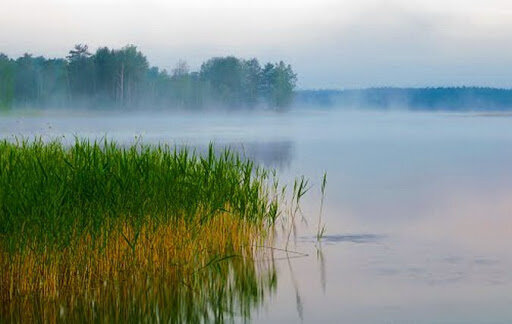 Источник-интернет.