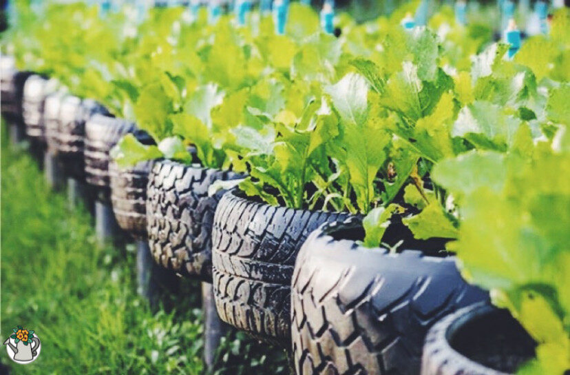 Грядки из автомобильных шин