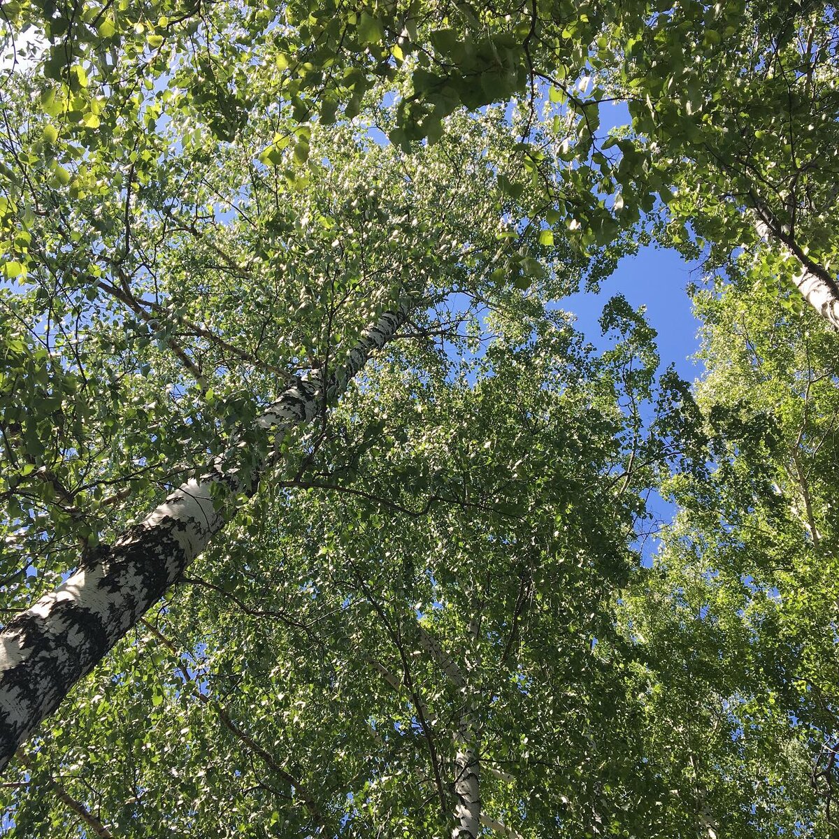 И правда, нужно же с чего-то начать