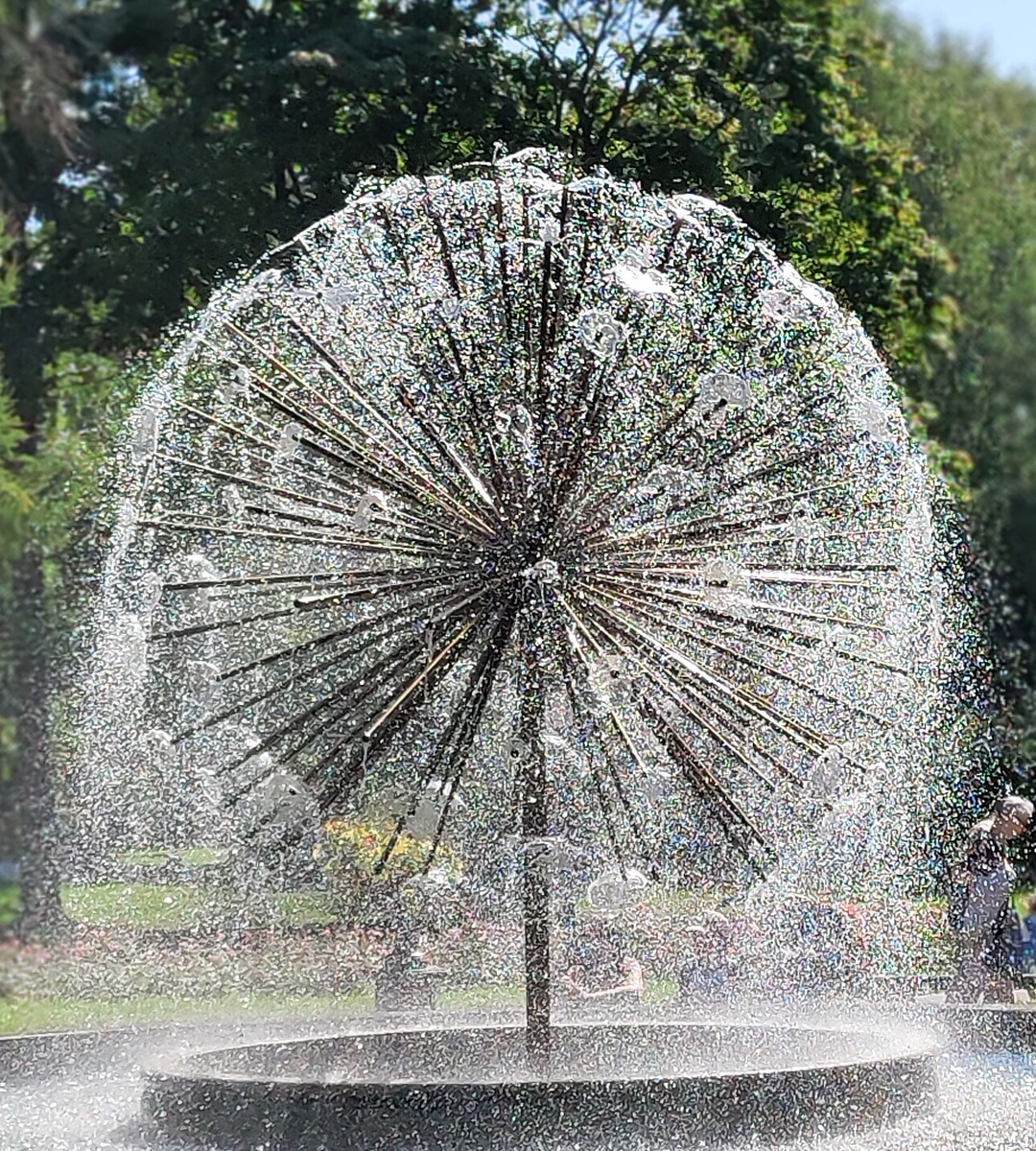 Одуванчик