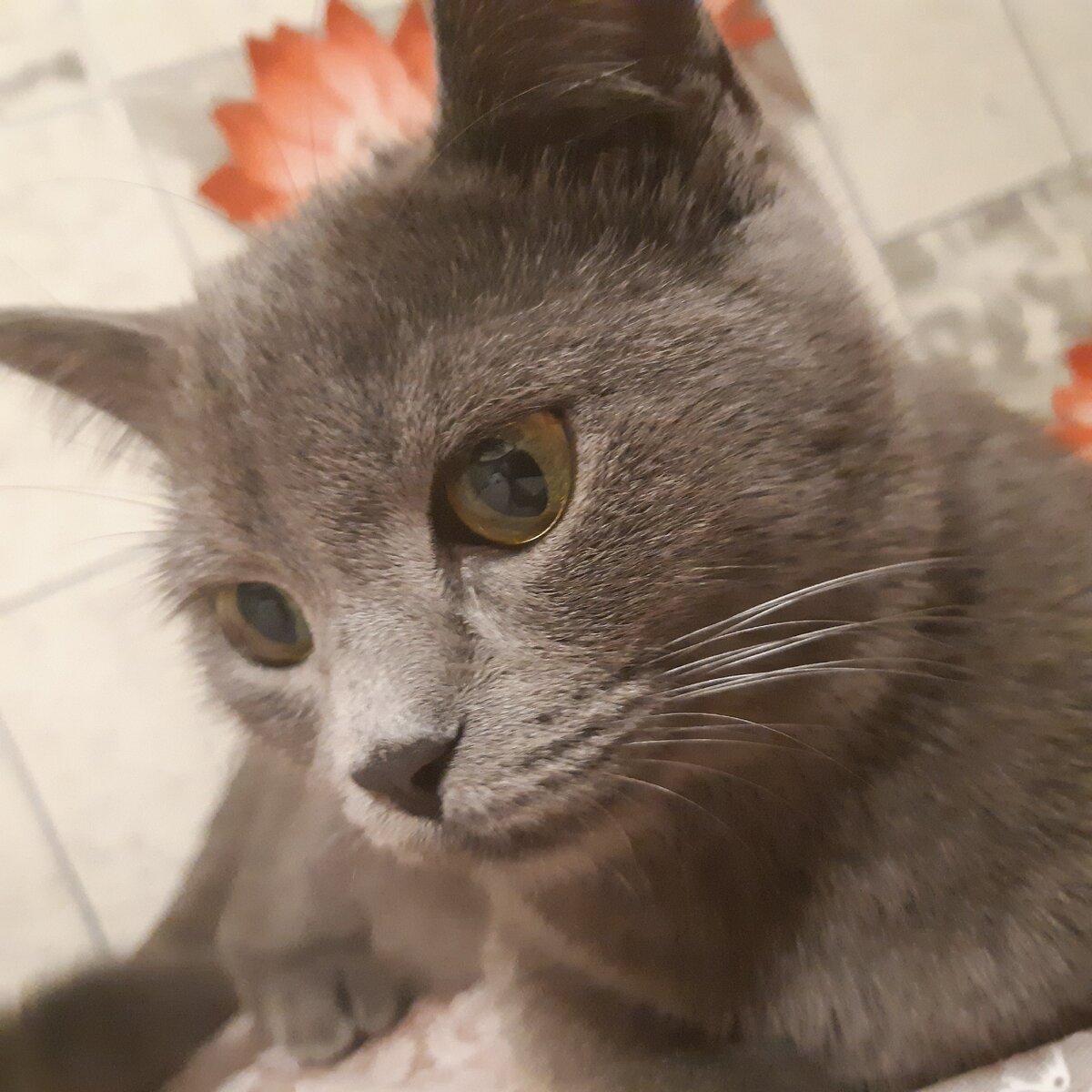 Фото из личного архива 
