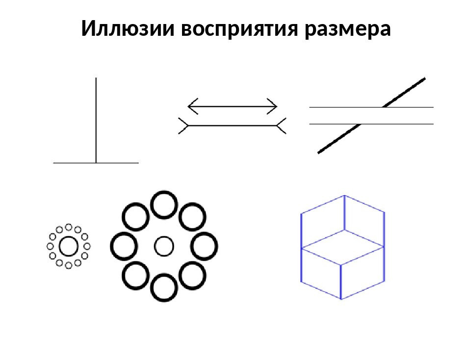 Восприятие величины картинки