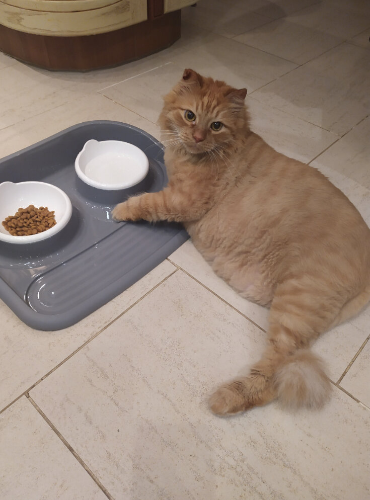 Фото автора публикации